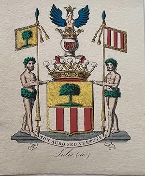 [Heraldic etching, colored] Coloured coat of arms of the Salis family, family crest, 1 p.