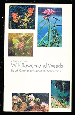 Wildflowers and Weeds