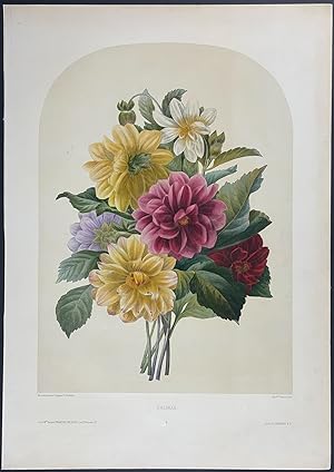 Floral Bouquet - Dahlia