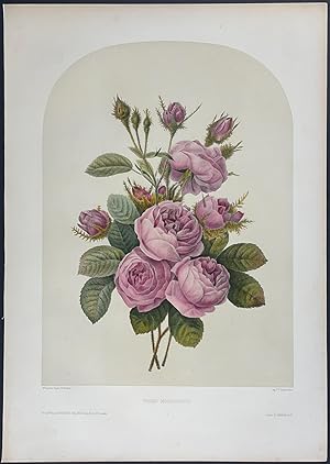 Floral Bouquet - Rose