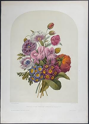 Floral Bouquet - Anemone, Geranium, Primula or Auricula, Poppy