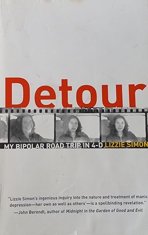 Detour: My Bipolar Road Trip in 4-D