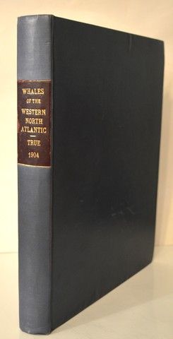 The Whalebone Whales of the Western North Atlantic Compared With Those Occuring in European Water...