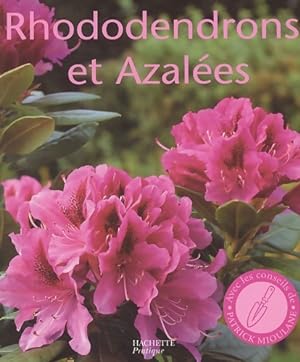 Rhododendrons et azal?es - Patrick Mioulane