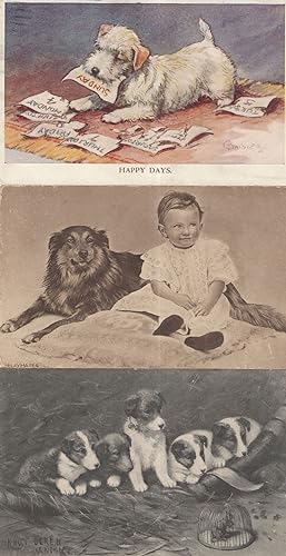 Dogs Watching Baby Animal In Cage 3x Antique Dog Postcard s