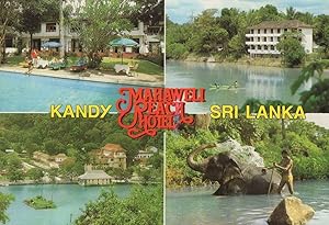 Elephant Being Washed at Mahawell Reach Hotel Kandy Sri Lanka Postcard