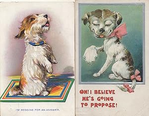 Posh Dog Handkerchief Marriage Proposal Dogs 2x Old Comic Postcard