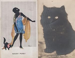 Saucy Puss 2x Politically Incorrect Cat Cats Old Postcard s