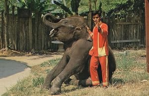 Thailand Mouth Organ Hypnotic Elephant Dance Postcard
