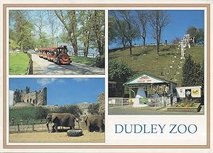 Dudley Zoo Gift Souvenir Shop & Train Rare 1980s Postcard