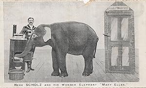 Herr Scholz & Wonder German Circus Elephant Mary Ellis Postcard