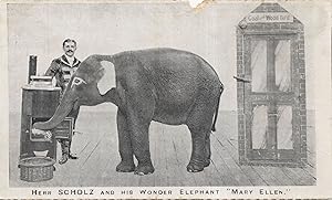 Herr Scholz & Wonder German Circus Elephant Mary Ellis Postcard