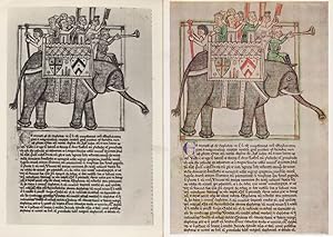 Latin 13th Century Elephant Bestiary British Museum 1970s 2x Postcard s