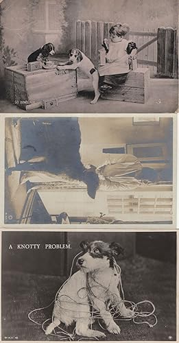 A Knotty Problem Dogs Drinking Tea 3x Dog Old Postcard s