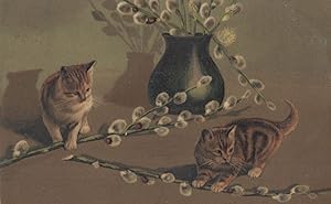 German Cats With Daisy Chain Made Of Thistles Old Cat Postcard