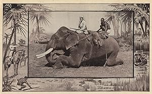African Hunting Elephant Animal Hunt Rifle Art Rare Old Postcard