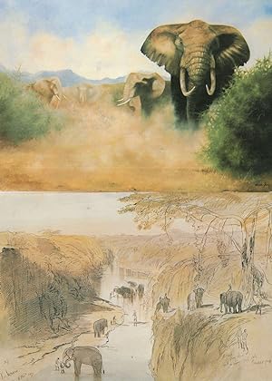 Edward Lear Lucknow Indian Elephant Victorian Painting 2x Postcard