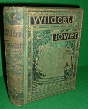 WILDCAT TOWER; OR, THE ADVENTURES OF FOUR BOYS IN PURSUIT OF SPORT AND NATURAL HISTORY IN THE NOR...