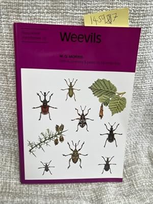Weevils