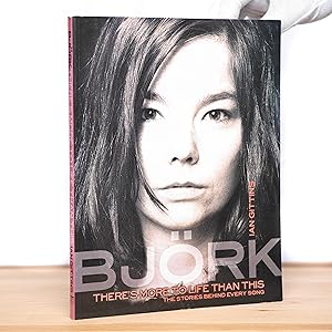 Bjork: There's More to Life Than This (Stories Behind Every Song)