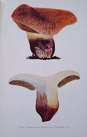 Coloured Icones of Rare and Interesting Fungi [Fungorum Rariorum Icones Coloratae], Parts I - XII
