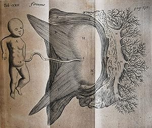 Histoire anatomique de parties genitales de l'homme et de la femme qui servent à la génération. A...