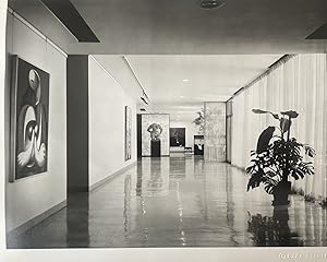 5 vintage photo by Ezra Stoller taken in the Modern Museum of Art New York