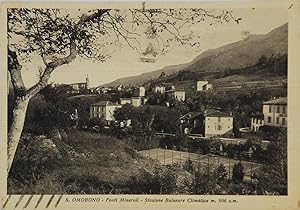 Cartolina Postale Fonti minerali S. Omobono