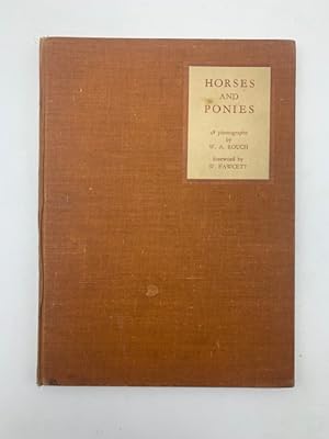Horses and Ponies. 48 photographic studies