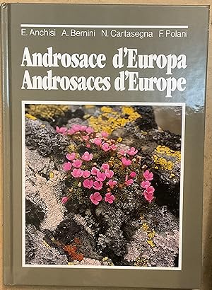 Androsace d'Europa. Androsaces d'Europe