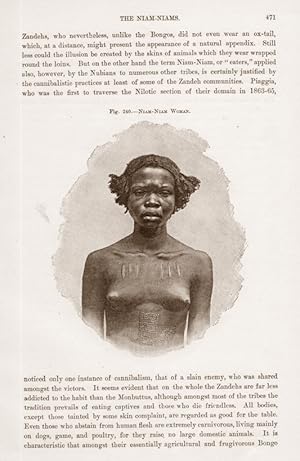 A Niam Niam Woman in West Africa, Portrait Print