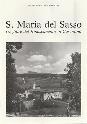 S. Maria del Sasso. Un fiore del Rinascimento in Casentino. Studi e fonti