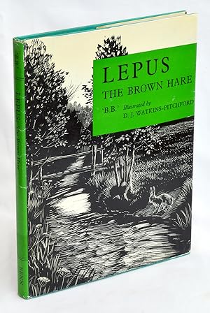 Lepus the Brown Hare