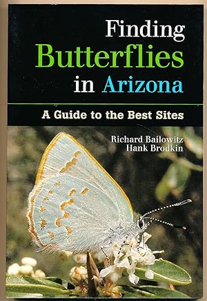 Finding Butterflies in Arizona: A Guide to the Best Sites