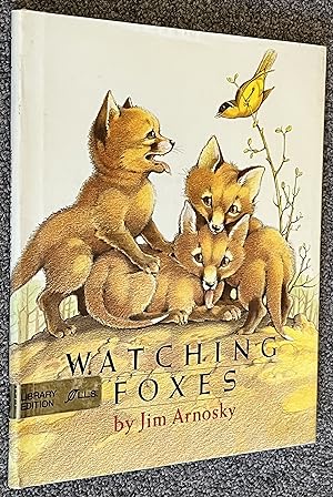 Watching Foxes
