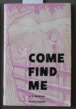 COME FIND ME ( #19 In the Susie & Johnny Series Stories)