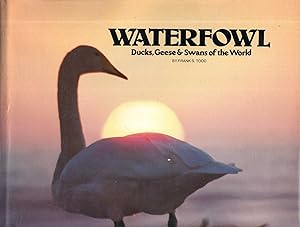 Waterfowl: Ducks, Geese and Swans of the World