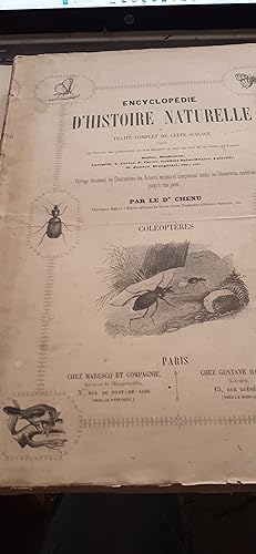 coléoptères (volume 1) encyclopédie d'histoire naturelle