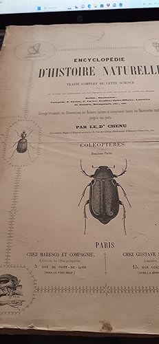 coléoptères (volume 2) encyclopédie d'histoire naturelle