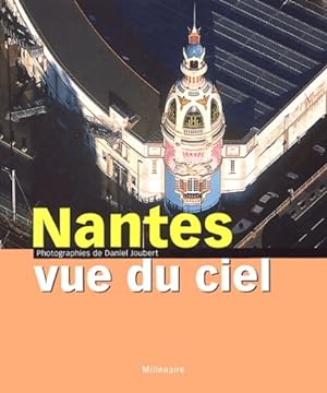 Nantes vue du ciel - Daniel Joubert
