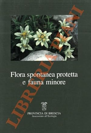Flora spontanea protetta e fauna minore.