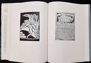 The complete graphic works of William Blake -