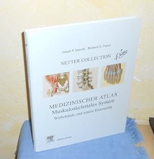 Netter Collection : Medizinischer Atlas : Muskuloskelettales System, Wirbelsäule und untere Extre...