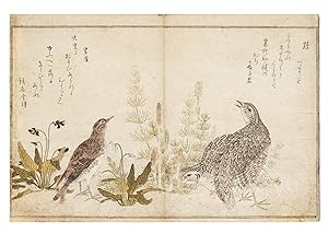 Momo chidori kyoka awase ç¾åé ¥çæå [Manifold Birds, A Competition of Kyoka Poetry]