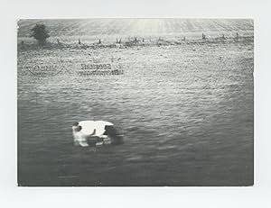 Exhibition postcard: Elisabeth Wagner (4-29 April 1981)
