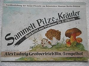 Sammelt Pilze u. KrÃ¤uter VerÃ ffentlichung der Haupt-Pilzstelle am Botanischen Museum Berlin-Dahlem