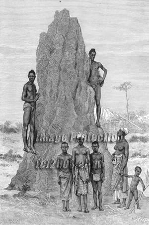 Bujago Type People in Guinea,on a Termite Mound,Antique Historical Print