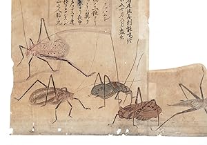 174 sheets of exquisite paintings of insects, using brush, ink, & washes of many colors, well mou...