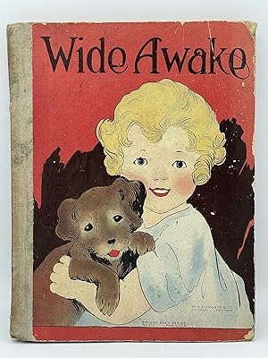 Wide Awake Story Book