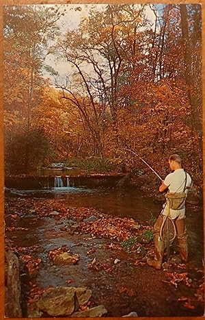The Homestead, Hot Springs, Virginia: Cascades Trout Stream